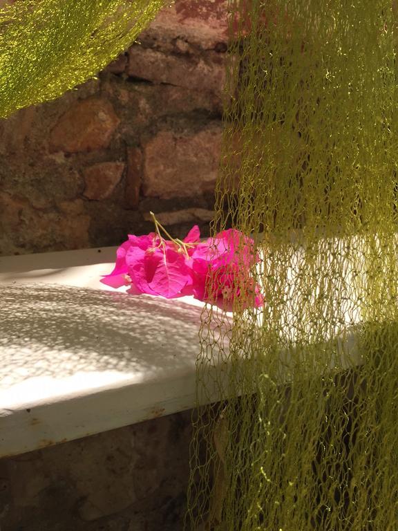 Cunda Adali Pansiyon Ayvalı Εξωτερικό φωτογραφία